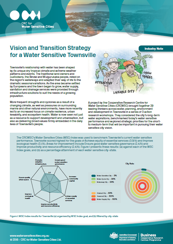 Overview Vision and Transition Strategy for a Water Sensitive