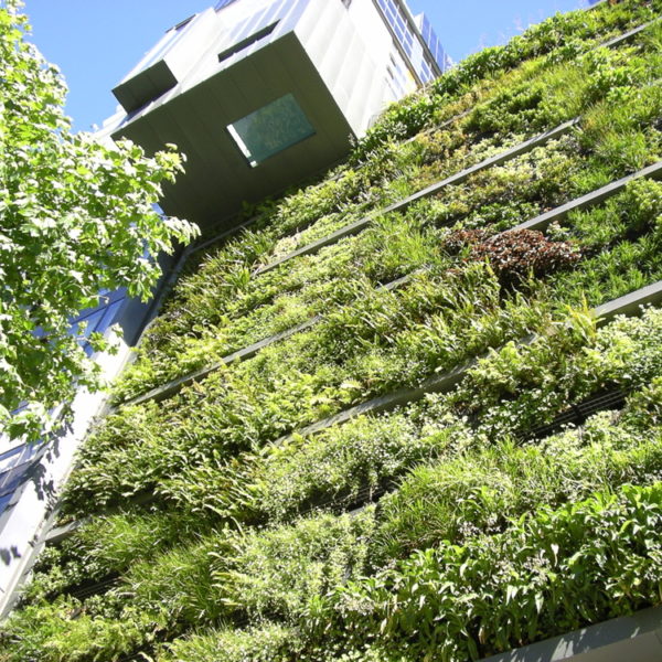 Green walls, roofs and facades in the City of Melbourne - CRC for Water ...