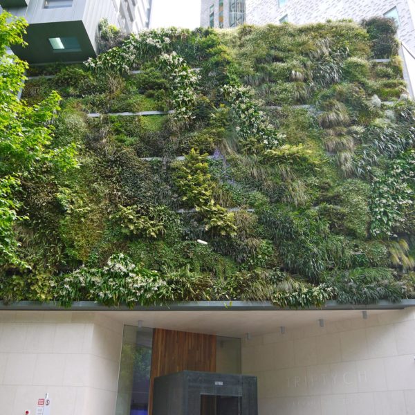 Green walls, roofs and facades in the City of Melbourne - CRC for Water ...