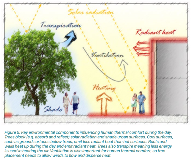 Water sensitive principles and practice can help mitigate climate change